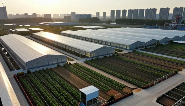 开荒保洁业务的未来趋势与市场机遇